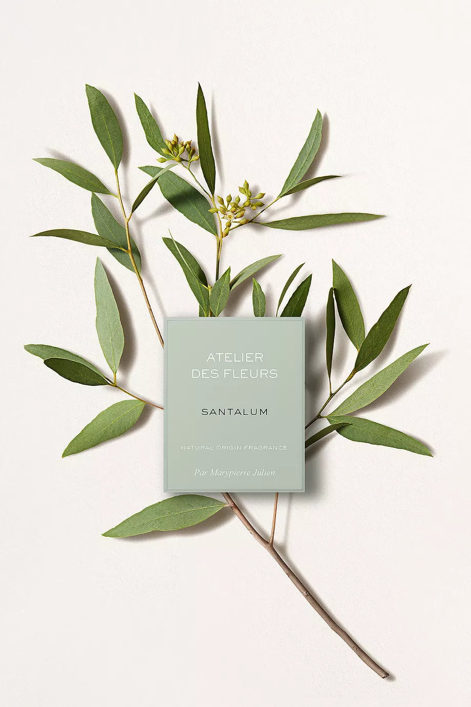 Chloe Atelier des Fleurs Santalum Eau de Parfum