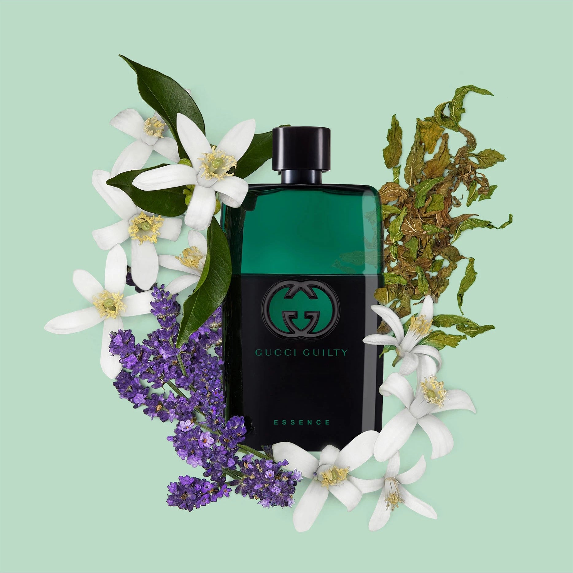 Guilty Essence Pour Homme Eau de Toilette,
