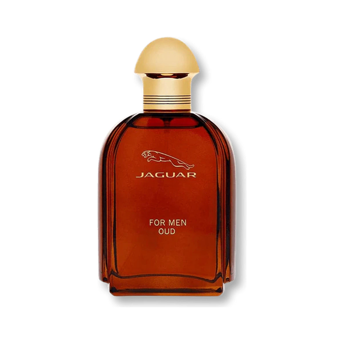 Jaguar for Men Oud EDP